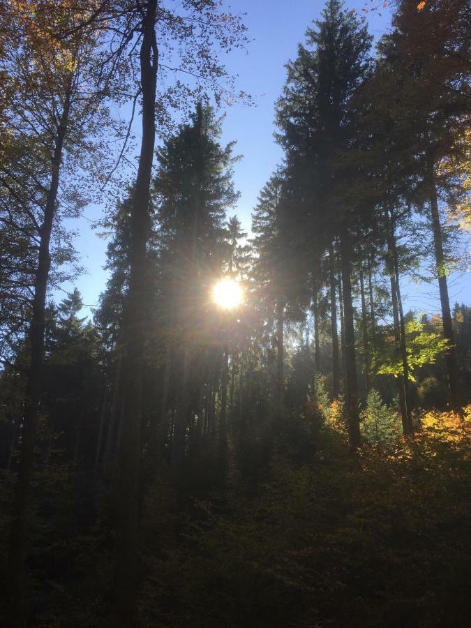 Familie Hotel Kameleon Elleringhausen Zewnętrze zdjęcie